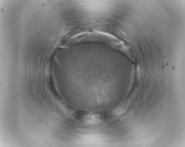 X0000088850760200706221700