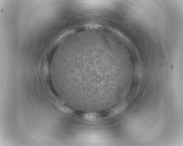 X0000088850761200706221700