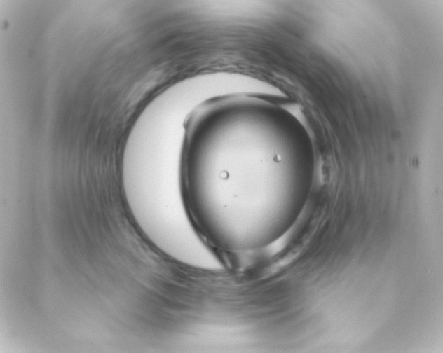 X0000088850762200706221700