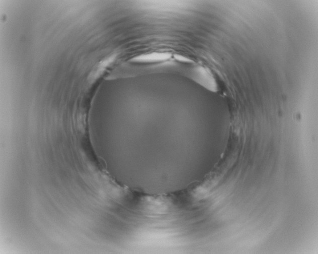 X0000088850763200706221700