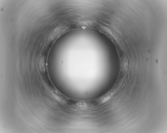 X0000088850764200706221700