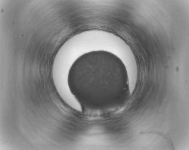 X0000088850766200706221700