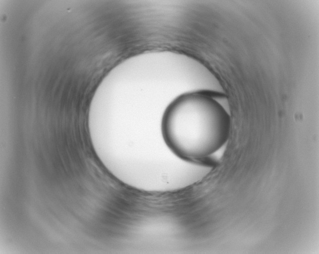 X0000088850768200706221700