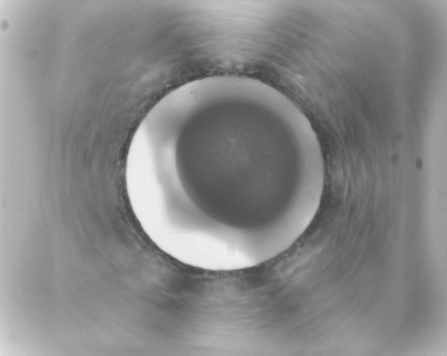 X0000088850769200706221659