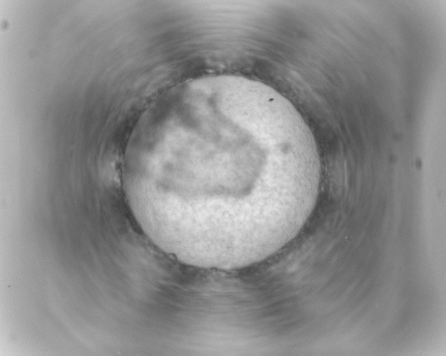 X0000088850770200706221659