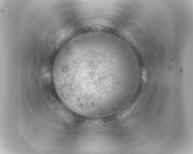 X0000088850771200706221659