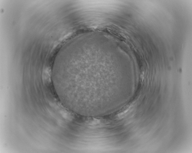 X0000088850772200706221659