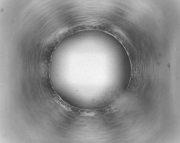 X0000088850773200706221659