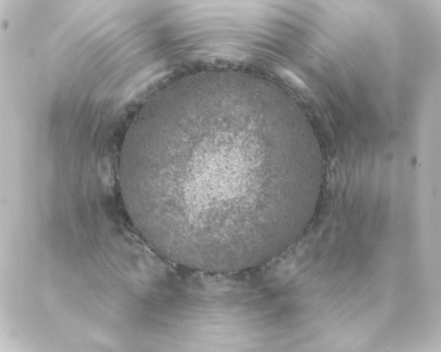 X0000088850774200706221659