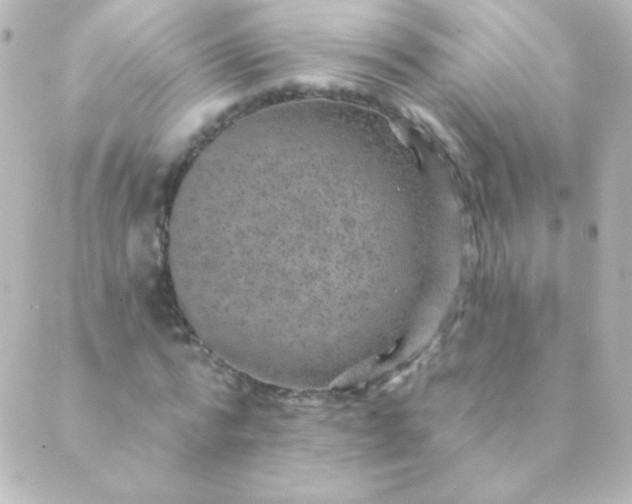 X0000088850776200706221659