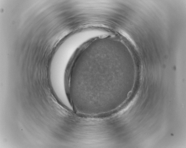 X0000088850777200706221659