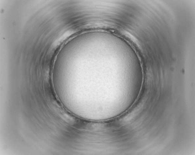 X0000088850778200706221659