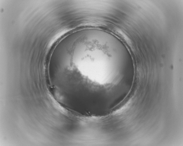 X0000088850779200706221659