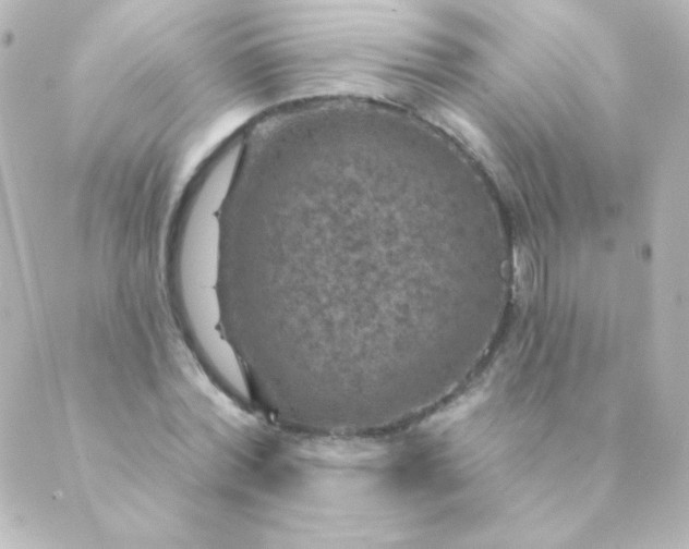 X0000088850780200706221659