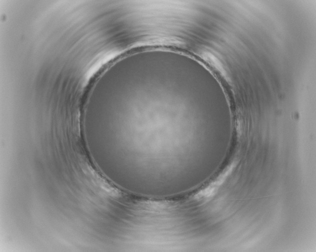 X0000088850781200706221659