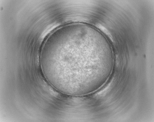 X0000088850782200706221659