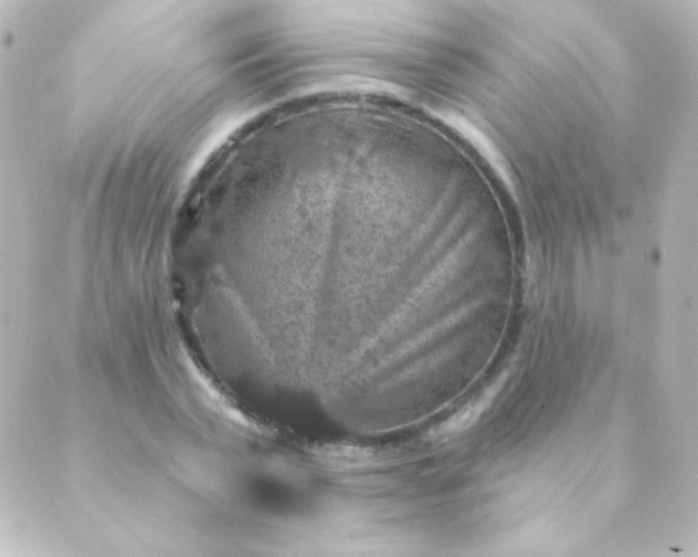 X0000088850783200706221659