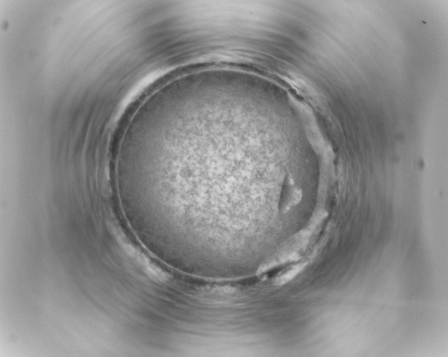 X0000088850784200706221659