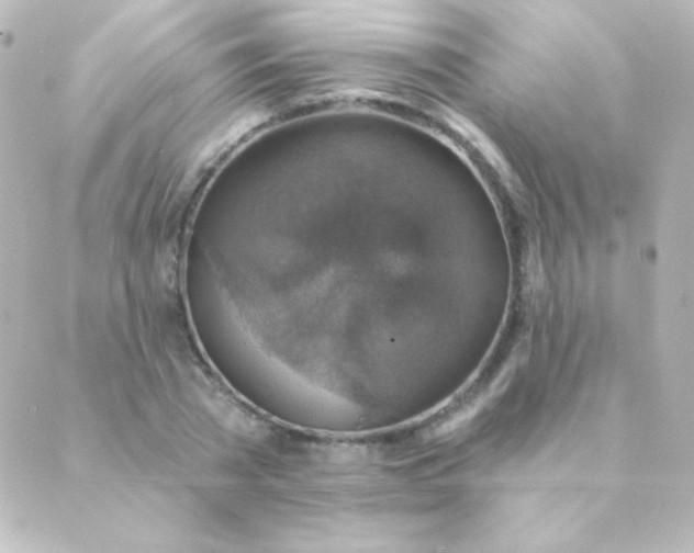 X0000088850785200706221659