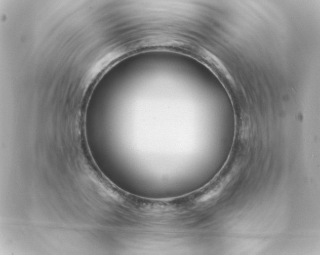 X0000088850786200706221659