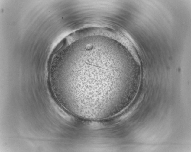 X0000088850787200706221659