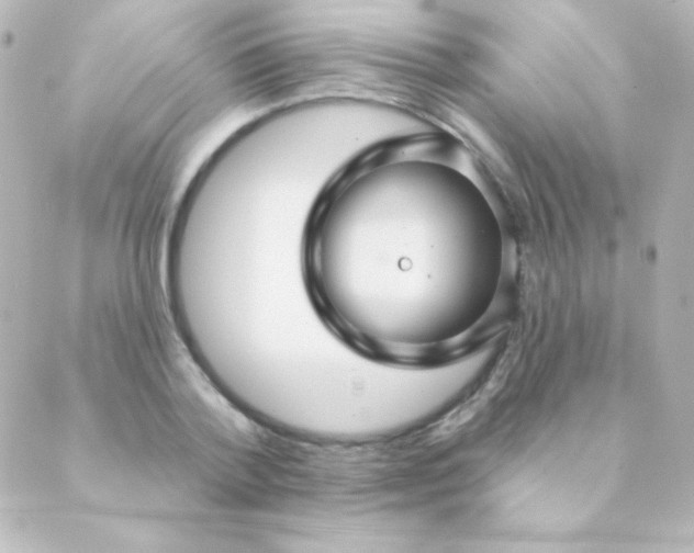 X0000088850788200706221659