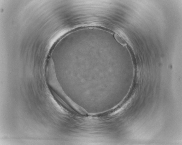 X0000088850789200706221659