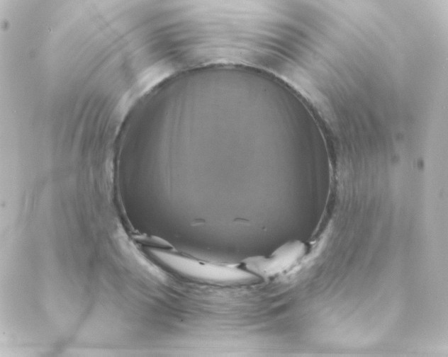 X0000088850790200706221659