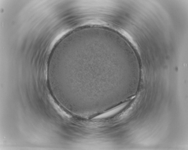 X0000088850791200706221659