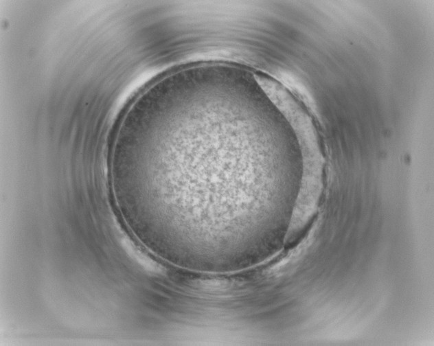 X0000088850792200706221659