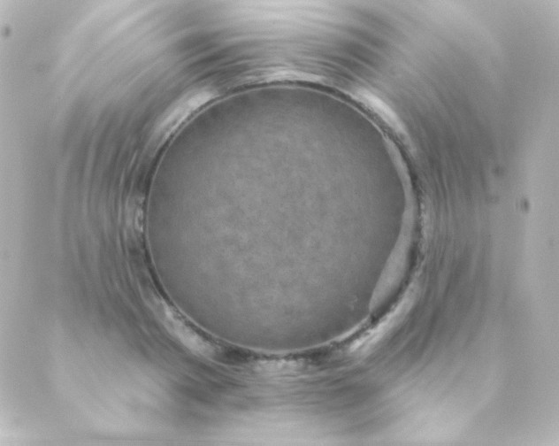 X0000088850793200706221659