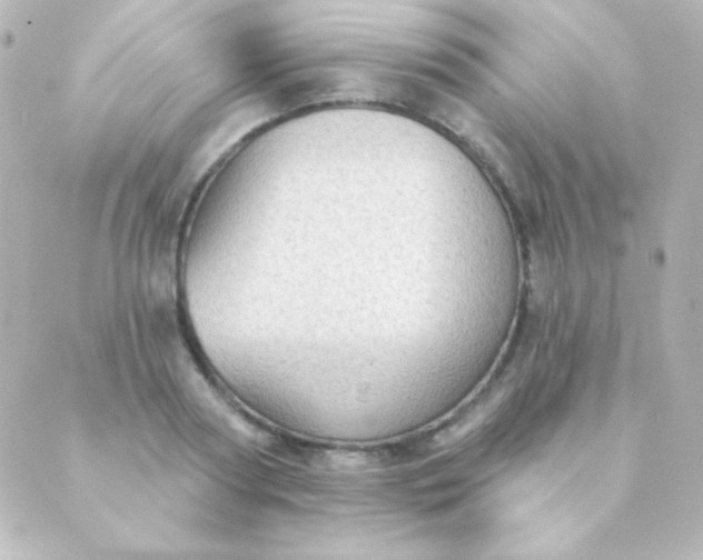 X0000088850794200706221659