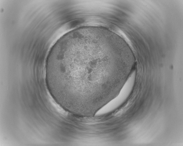 X0000088850795200706221659