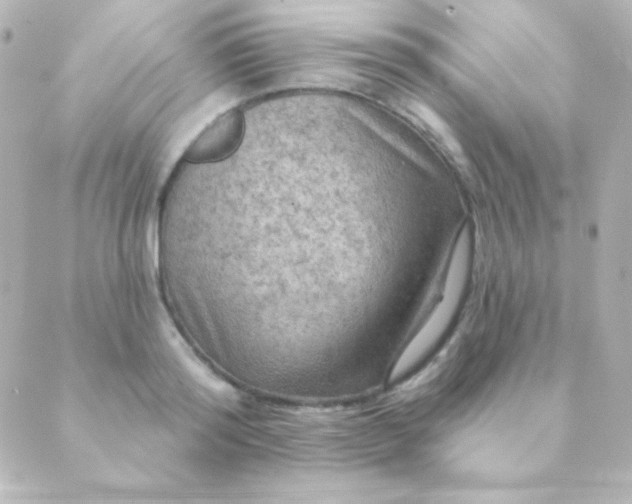 X0000088850796200706221659