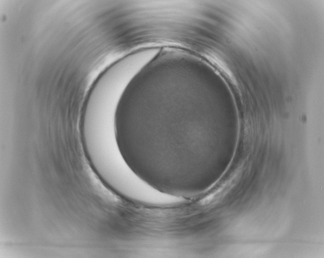 X0000088850797200706221659