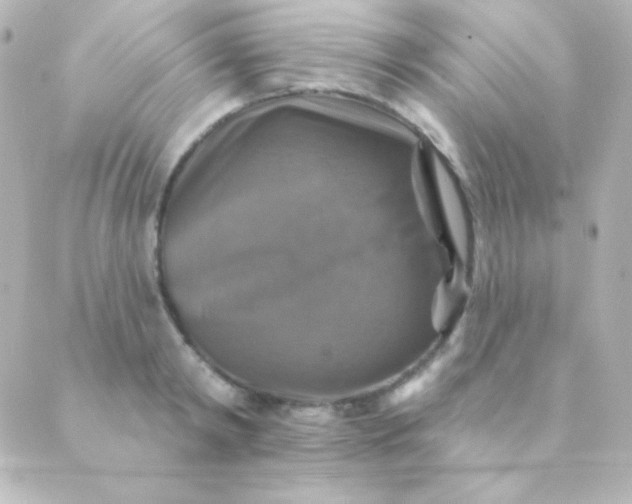 X0000088850798200706221659