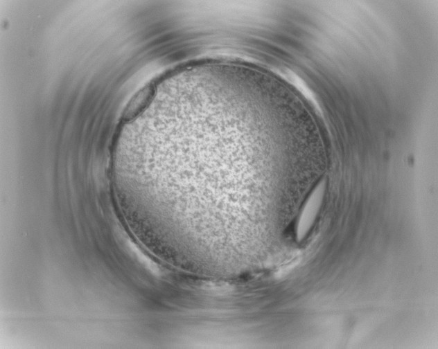 X0000088850799200706221659