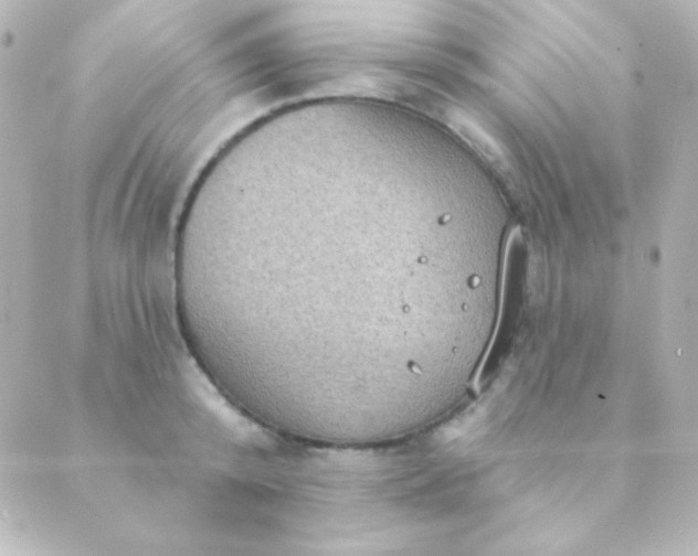 X0000088850800200706221659