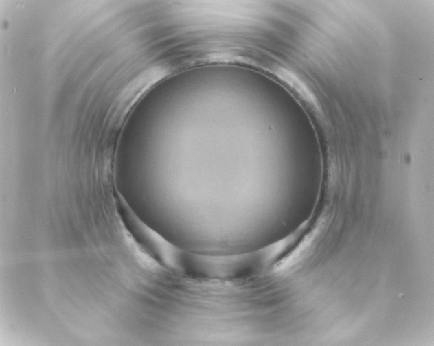 X0000088850801200706221659