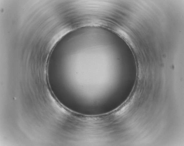 X0000088850802200706221659