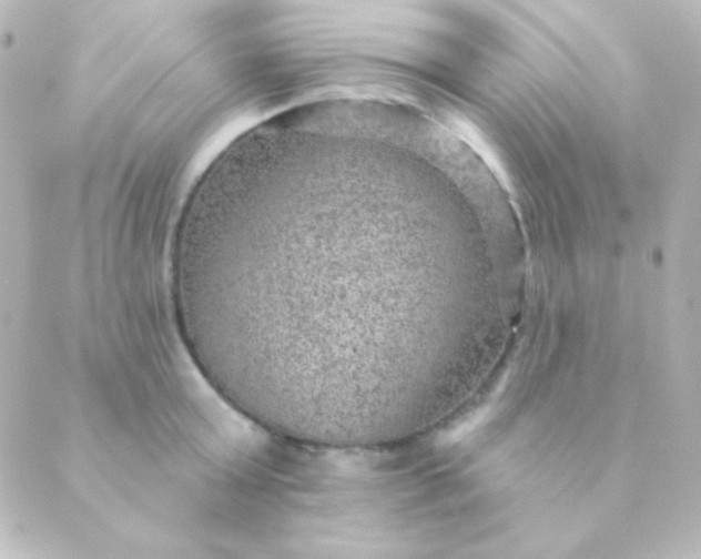 X0000088850803200706221659