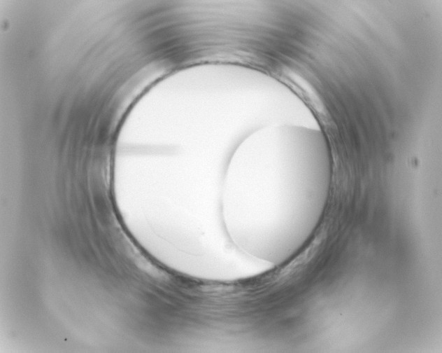 X0000088850804200706221659