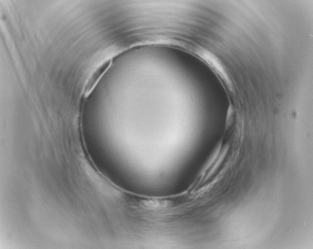 X0000088850805200706221659