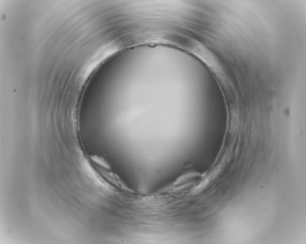 X0000088850806200706221659