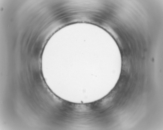 X0000088850807200706221659