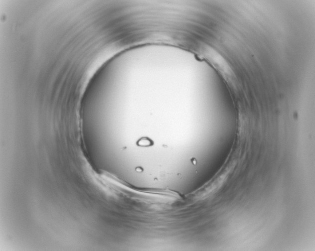 X0000088850808200706221659