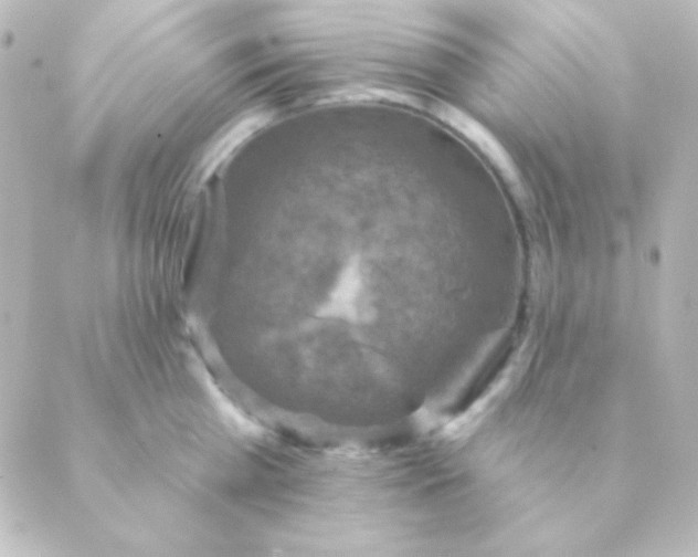 X0000088850809200706221659