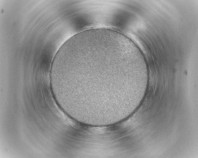 X0000088850810200706221659