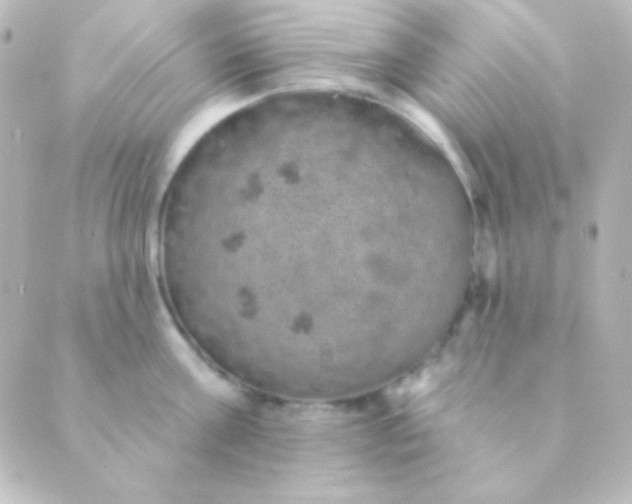 X0000088850811200706221659