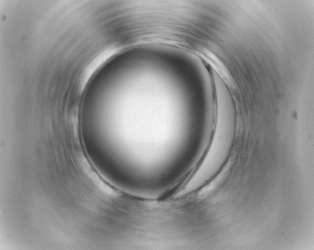 X0000088850812200706221659